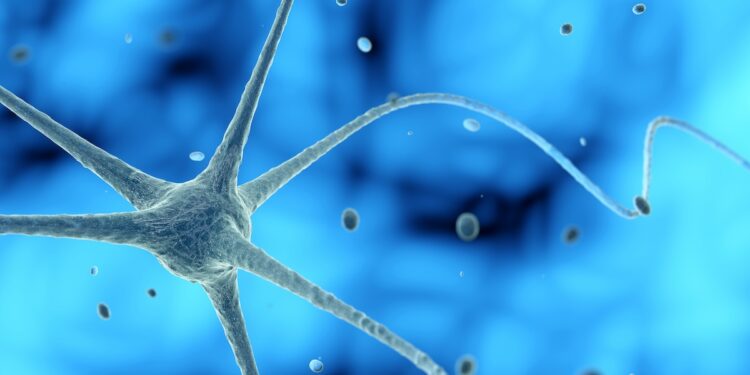 Rééducation de la neuropathie